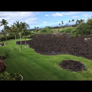 Meet your Posher, Robyn