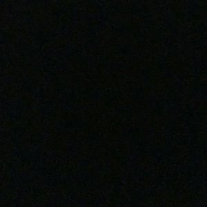 Meet your Posher, Bianca