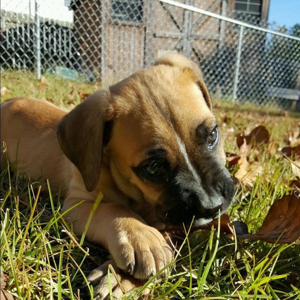 Meet your Posher, Faith