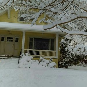 Meet your Posher, Louanne