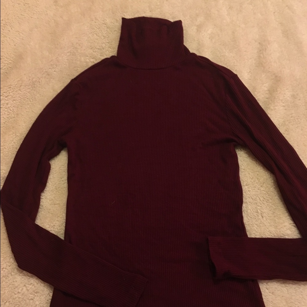 Maroon turtleneck top