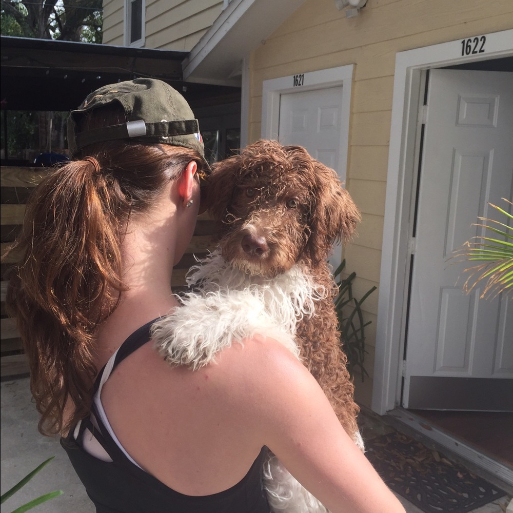 Meet your Posher, Steph