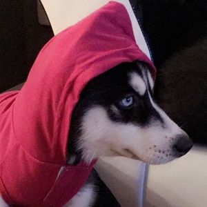 Meet your Posher, Amsha