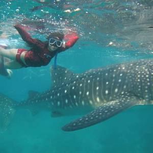 Meet your Posher, Keith