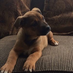 Meet your Posher, Justina