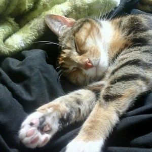 Meet your Posher, Robert