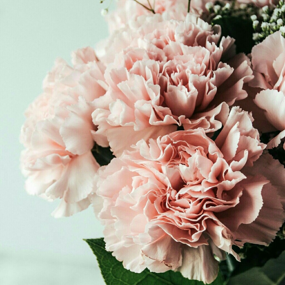 Meet your Posher, Natalia