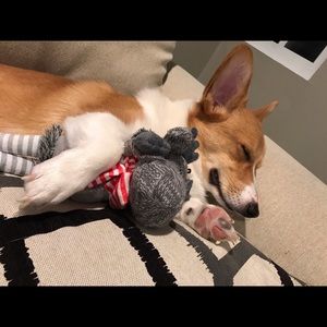 Meet your Posher, Nancy