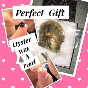 AKOYA OYSTER WITH PEARL