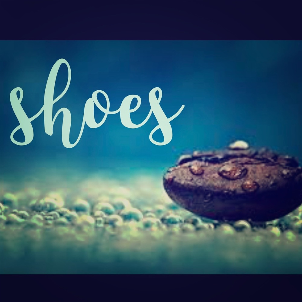 👠👠👠👠