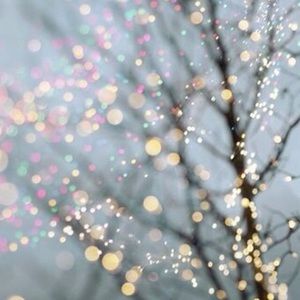 Meet your Posher, Ann