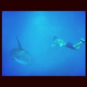 Meet your Posher, Renzo