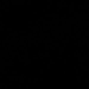 Meet your Posher, Beverly