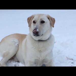 Meet your Posher, Rachelle