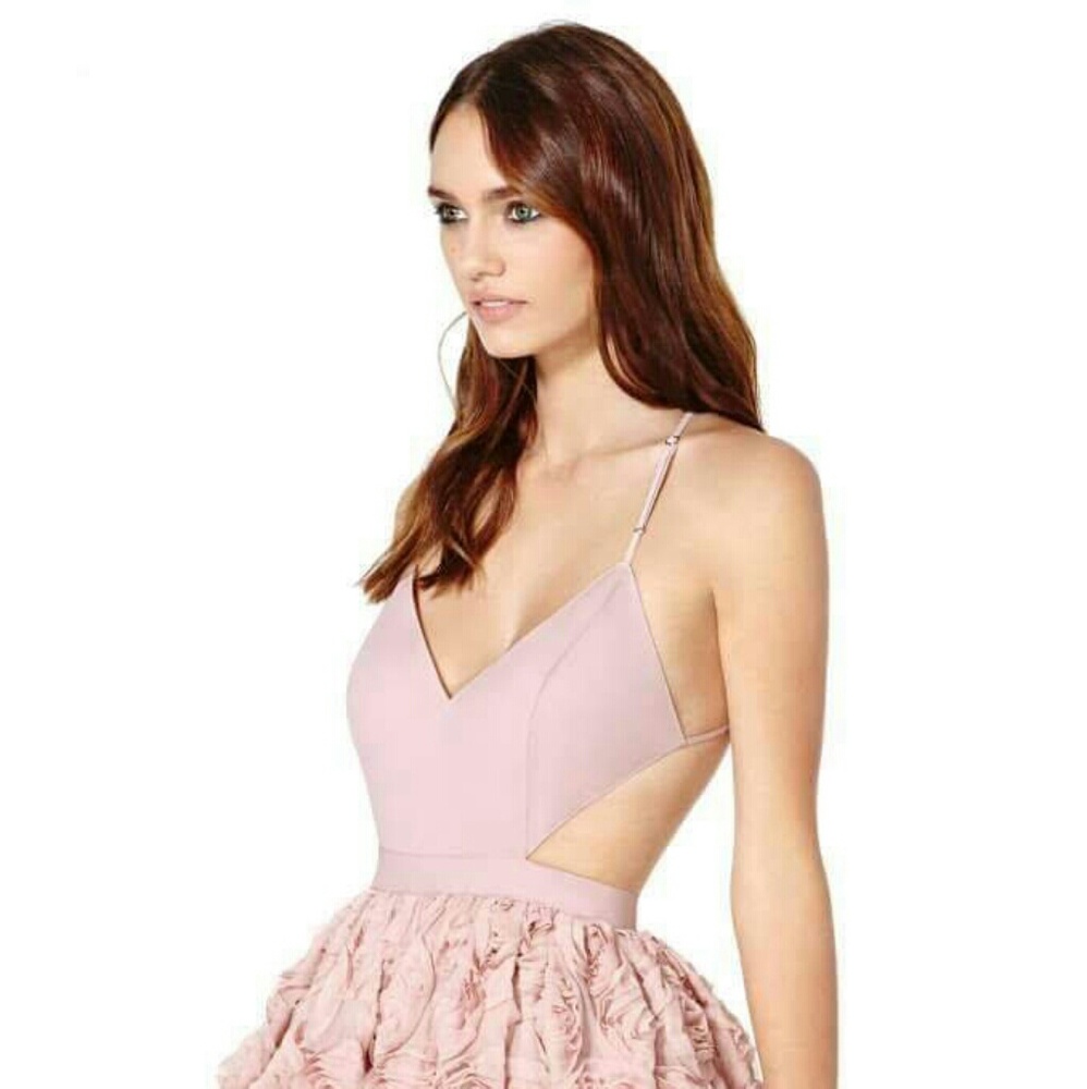 NastyGal Blushing Blooms Dress *Fits like Size 12* - Picture 4 of 6