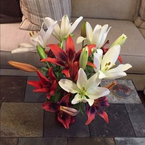 Meet your Posher, Jo