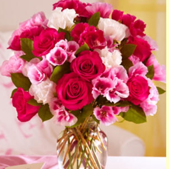 Meet your Posher, Isabel - Picture 1 of 1