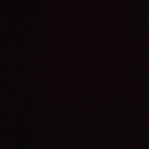 Meet your Posher, Raegen