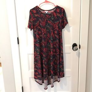 Gorgeous LuLaRoe Carly