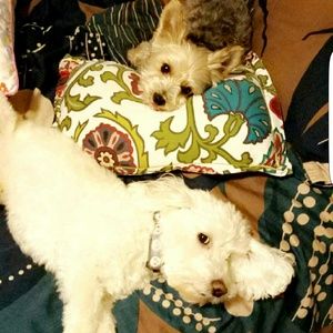 Meet your Posher, Gabriella