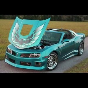 Meet your Posher, Rodney