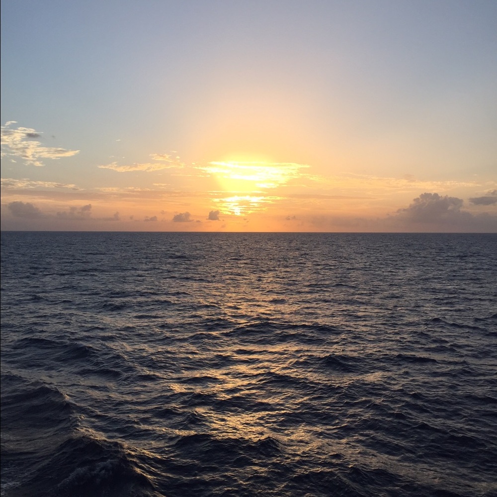 Meet your Posher, Jan