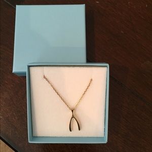 Gold played wishbone necklace, 16in chain
