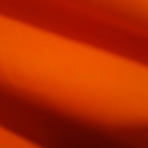 Meet your Posher, Kizzy