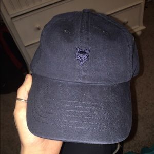 prince and fox navy blue hat