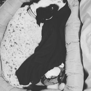 Meet your Posher, Jade