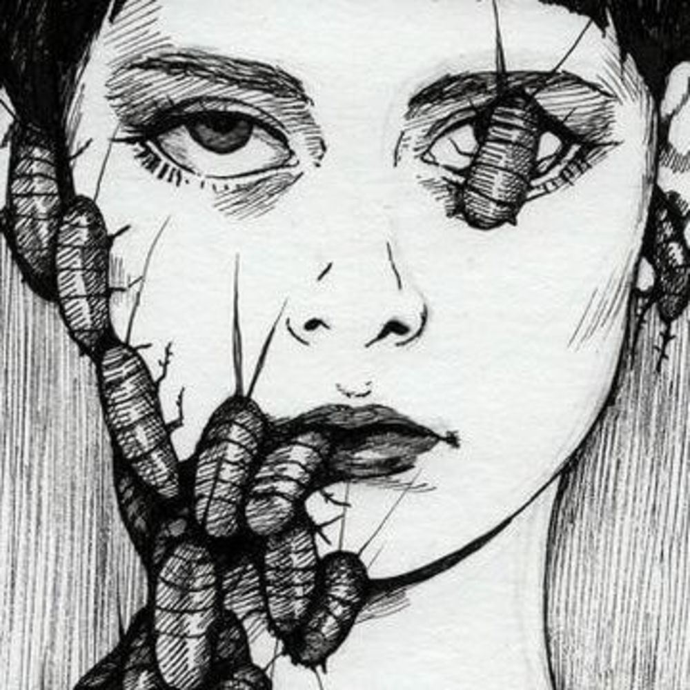 Meet your Posher, Izzy