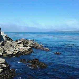 Meet your Posher, Alfredo