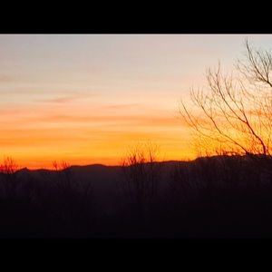 Meet your Posher, Traci