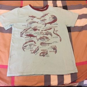 Gap Boy's t-shirt