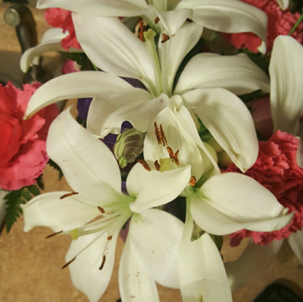 Meet your Posher, Kayte