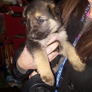 Meet your Posher, Cheryl