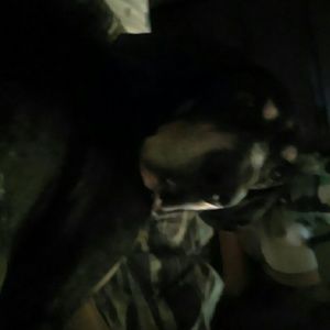 Meet your Posher, Bobbi