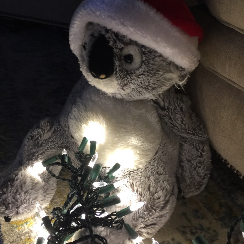 Meet your Posher, Alana