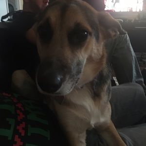 Meet your Posher, Jillian