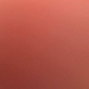 Meet your Posher, Shanda