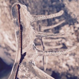 Meet your Posher, Quincy