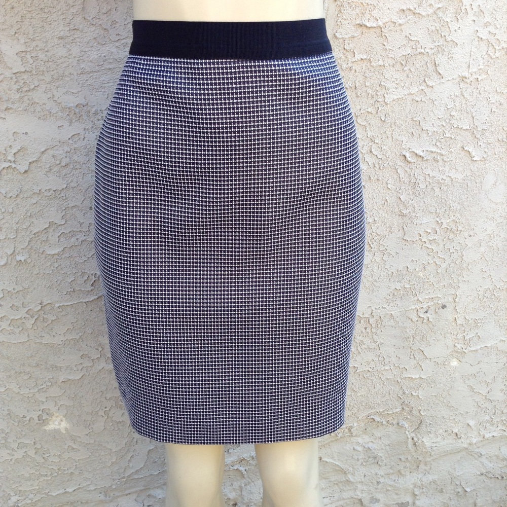 Ann Taylor Skirt