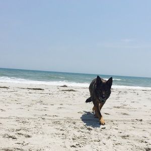 Meet your Posher, Lex