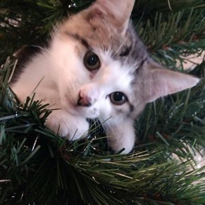 Meet your Posher, Becky