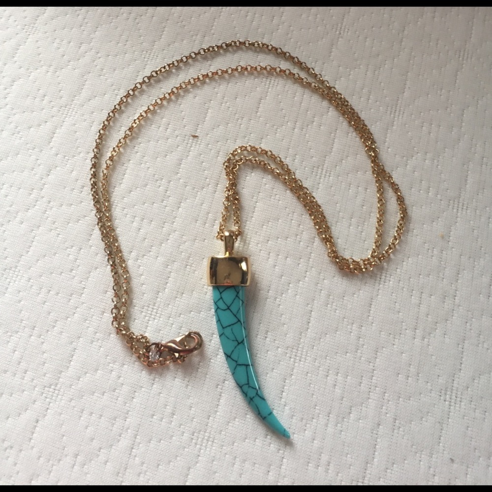 Long turquoise tusk necklace