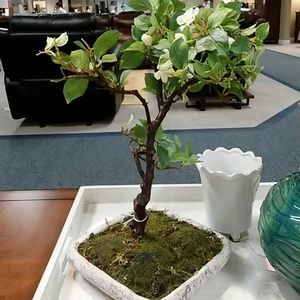 Meet your Posher, Todd