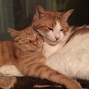 Meet your Posher, Dana