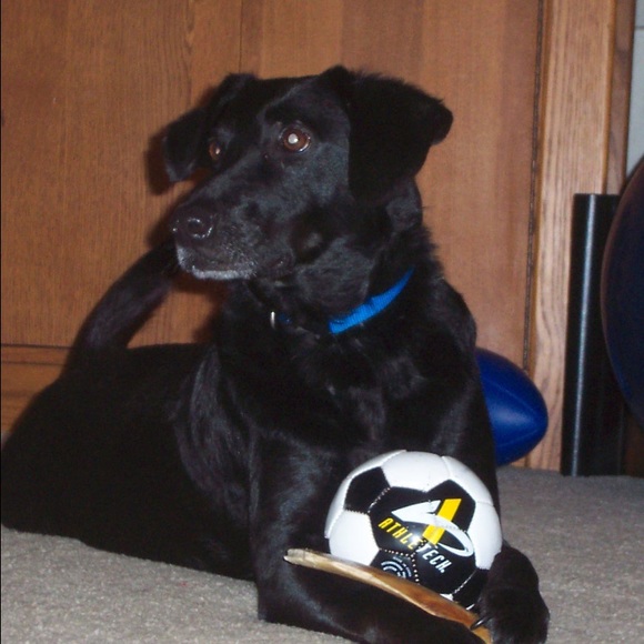 Can no longer sell here. no access to a printer - Picture 1 of 1