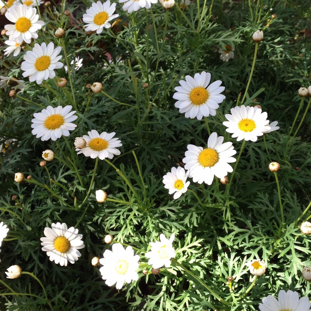 Meet your Posher, Bethany