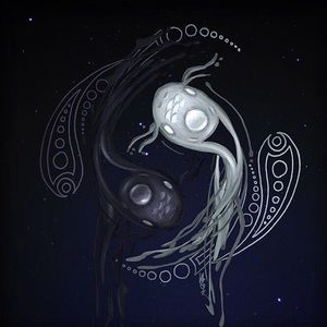 Meet your Posher, Sandy